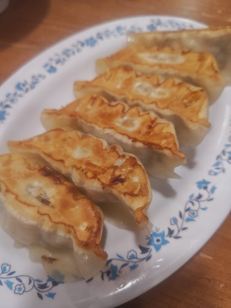 宇都宮駅前にある「健太餃子」の餃子